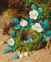 Nature morte